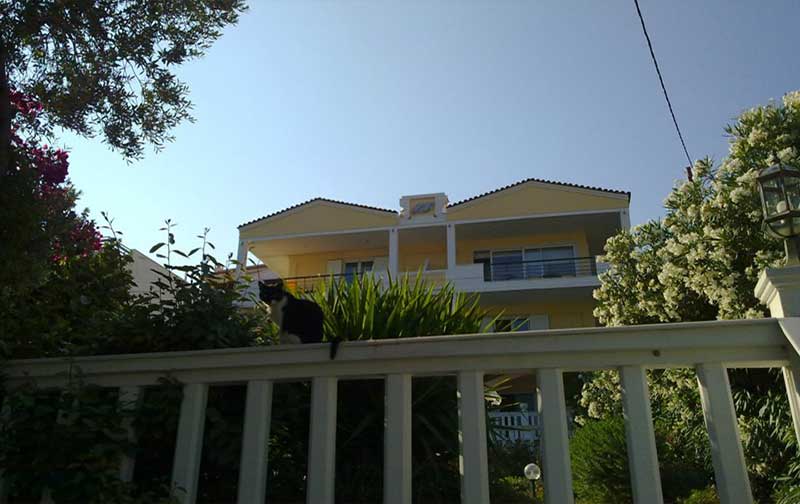 Villa Dolphins